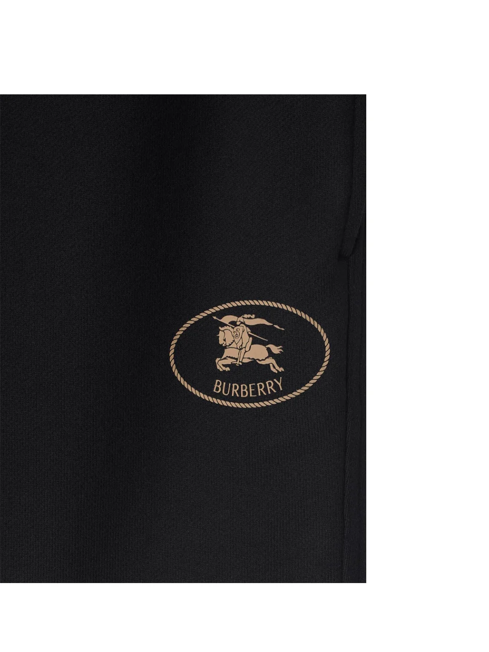 Burberry Men shaun shorts Black - Image 3