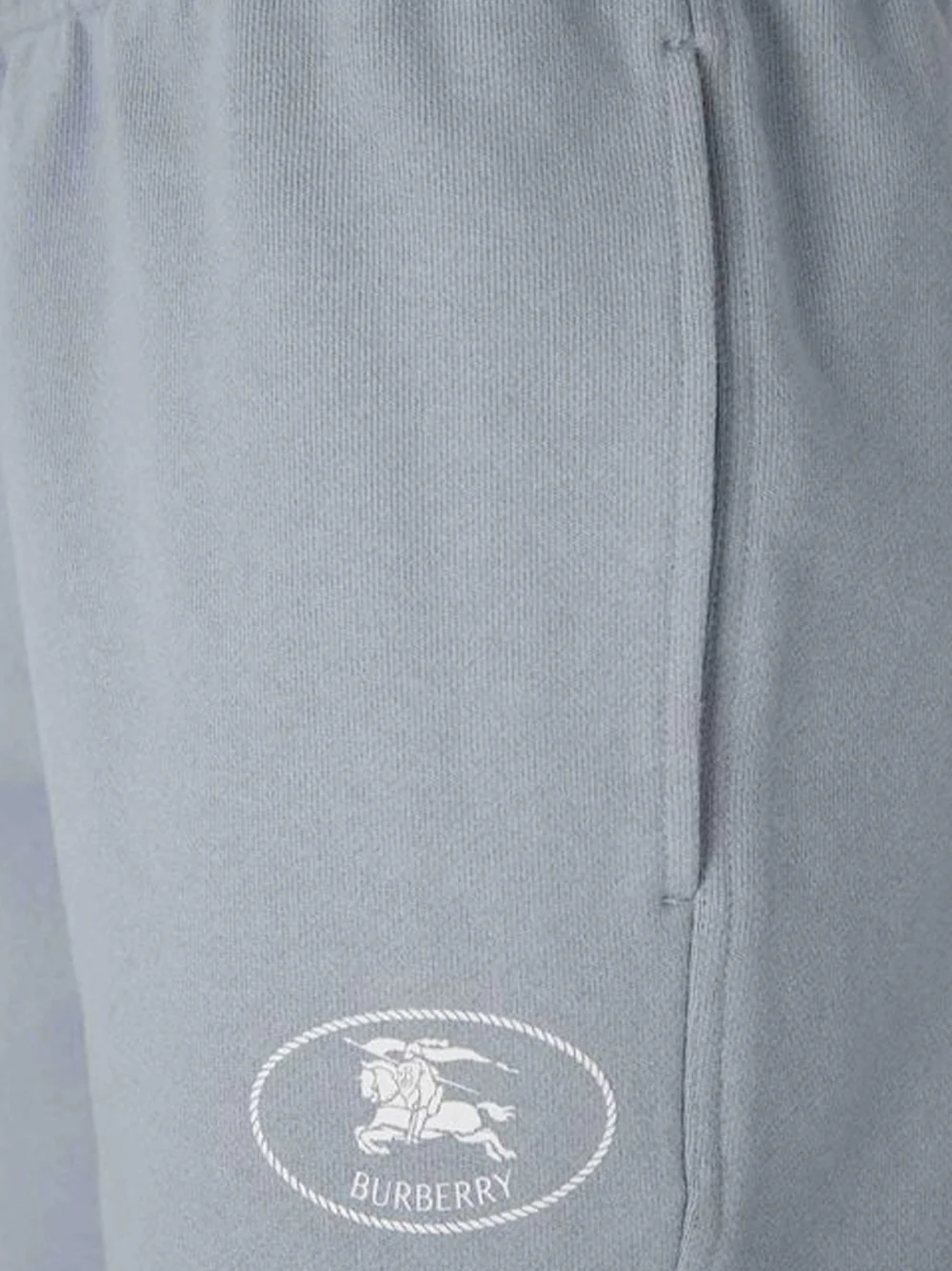 Burberry Men Shaun Shorts Gale - Image 5