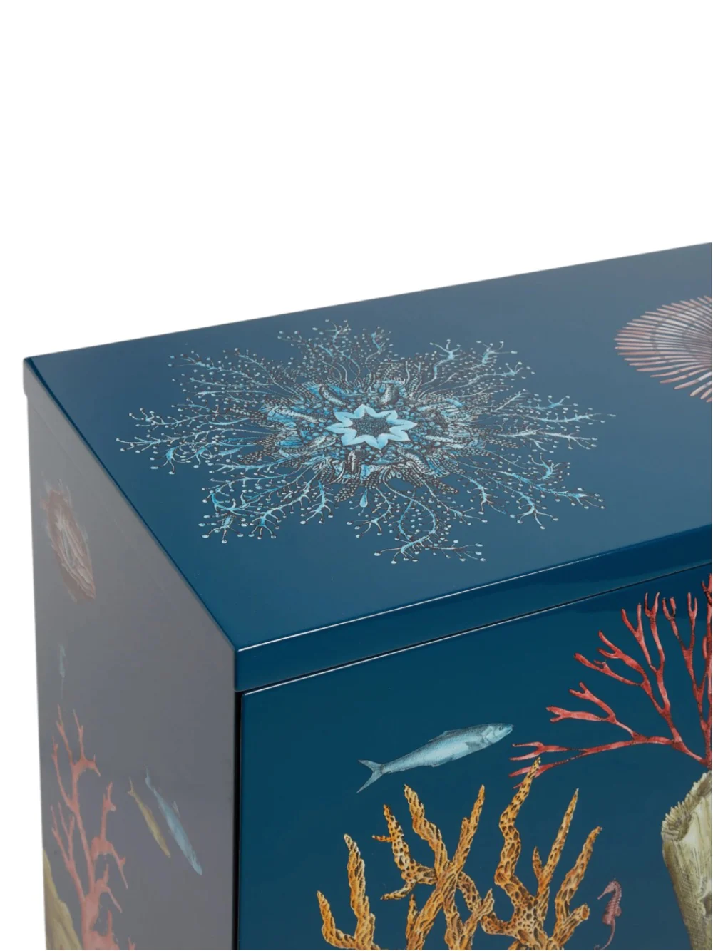 Fornasetti Raised Sideboard Fondo Marino Cabinet Multi - Image 4